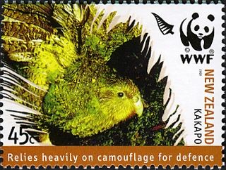 Kakapo. Relies Heavily on Camouflage for Defence