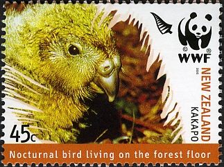 Kakapo. Nocturnal Bird Living on the Forest Floor