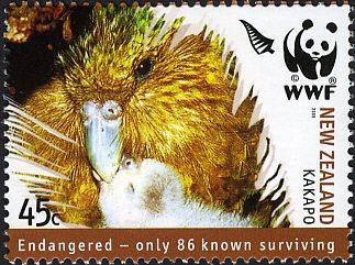 Kakapo.  Endangered - Only 86 Known Surviving