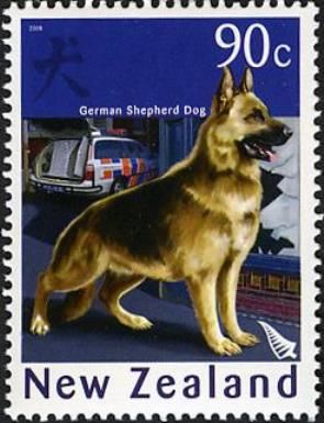 German Shepherd (Canis lupus familiaris)