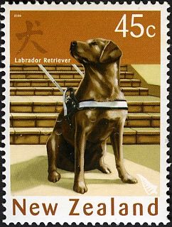 Labrador Retriever (Canis lupus familiaris) - Booklet Issue