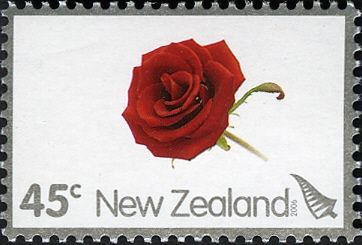 Red Rose
