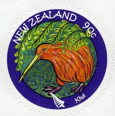 Kiwi
