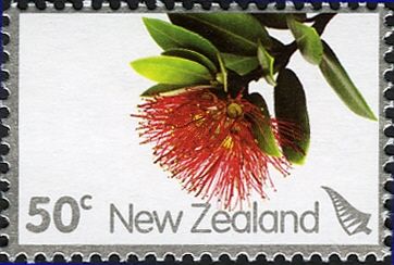 Pohutukawa Flower