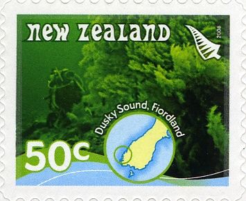 Corals, Dusky Sound - Fiordland - Booklet Issue