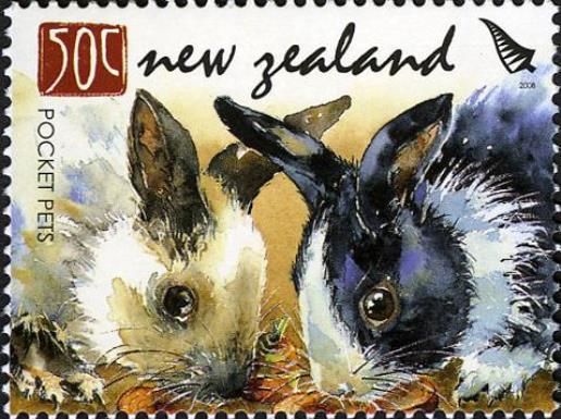 Domestic Rabbit (Oryctolagus cuniculus domesticus)