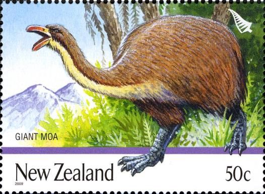 North Island Giant Moa (Dinornis novaezealandiae)