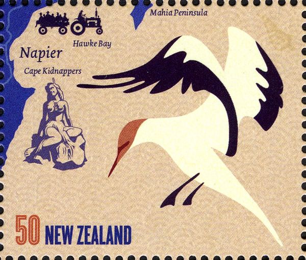 Gannet Colony