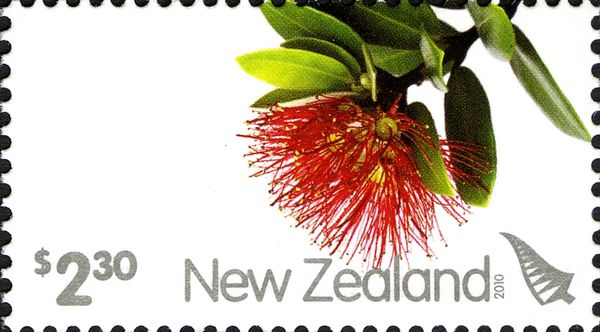 Pohutukawa Flower