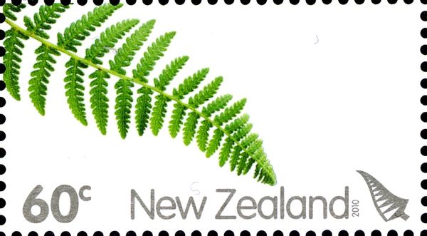Silver Fern