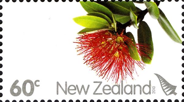 Pohutukawa Flower