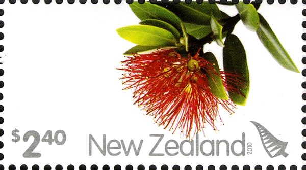 Pohutukawa Flower