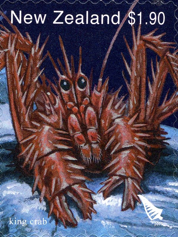 Southern King Crab (Lithodes antarctica)
