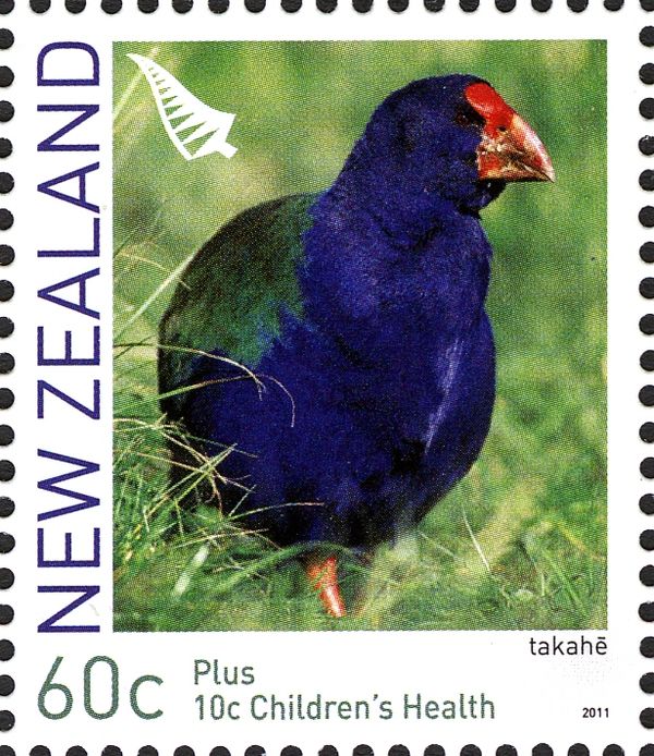 South Island Takahe (Porphyrio hochstetteri )