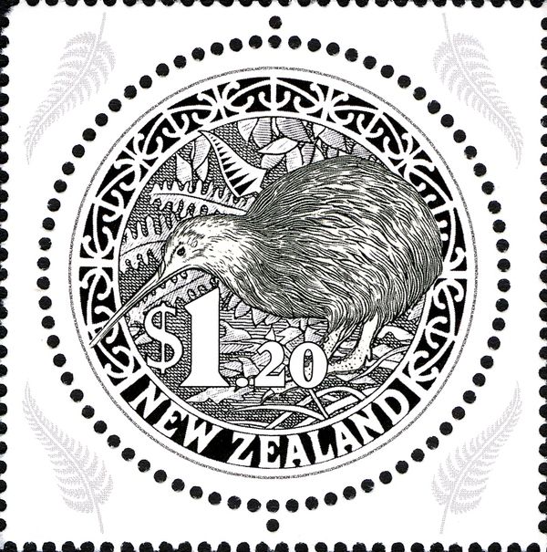 Brown Kiwi (Apteryx australis)