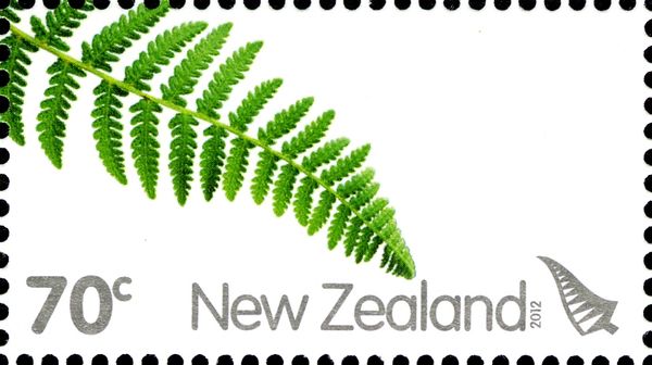 Silver Fern