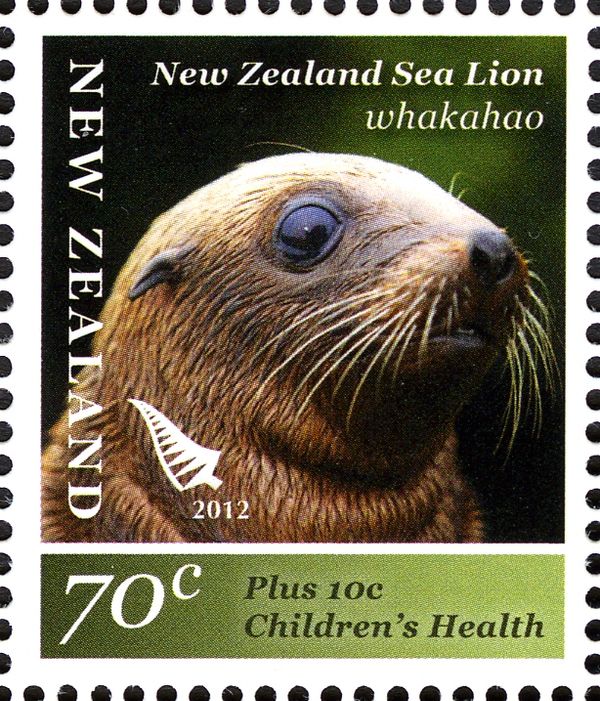 Hooker's Sea Lion (Phocarctos hookeri)