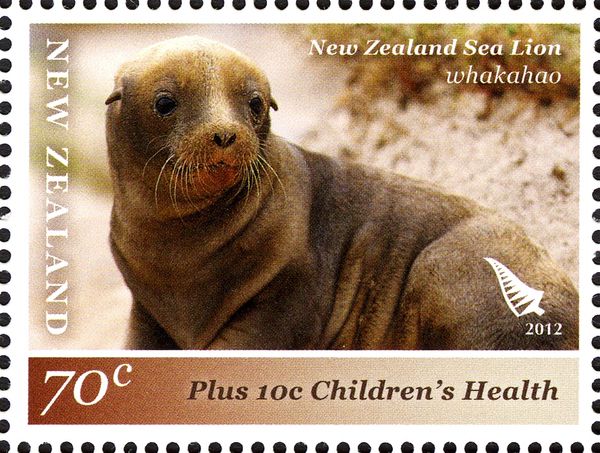 Hooker's Sea Lion (Phocarctos hookeri)