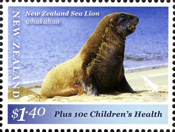 Hooker's Sea Lion (Phocarctos hookeri)