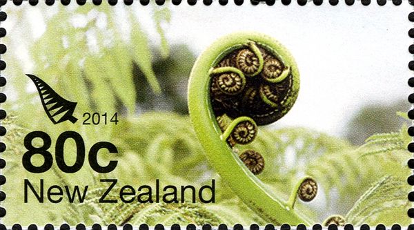 Silver Fern
