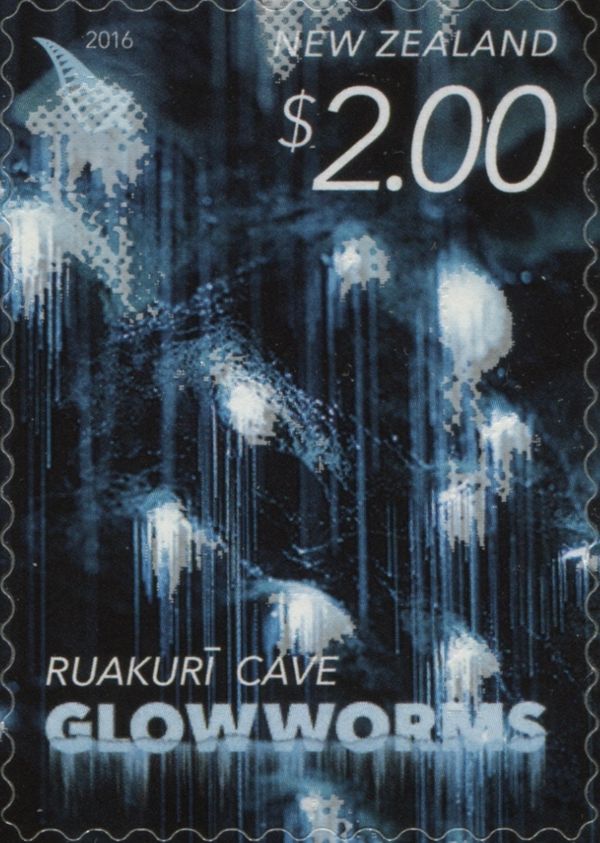 Ruakuri Cave - Booklet Issue