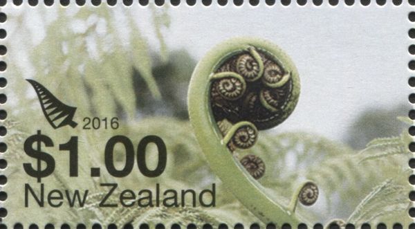 Silver Fern