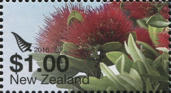 Pohutukawa Flower