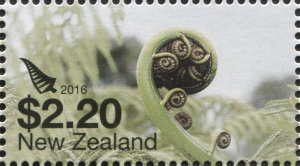 Silver Fern