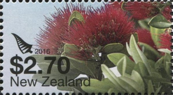 Pohutukawa Flower