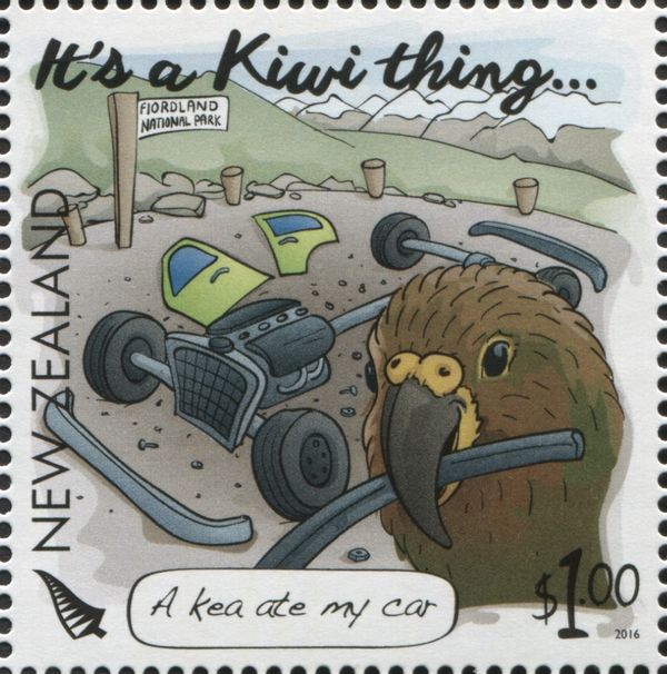 A kea ate my car