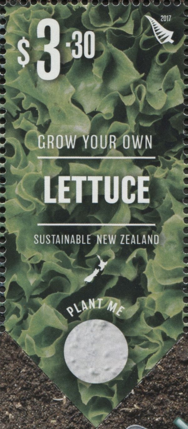 Lettuce