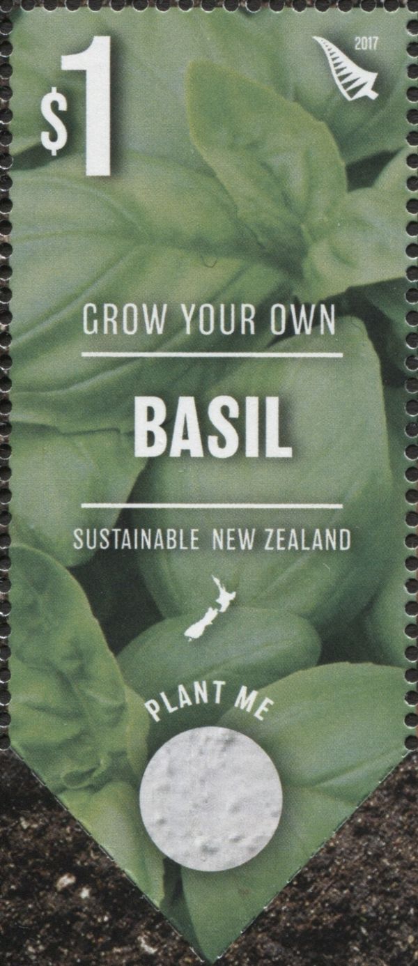 Basil, printed seeds