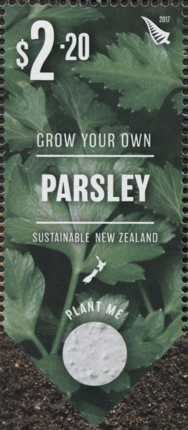 Parsley, printed seeds