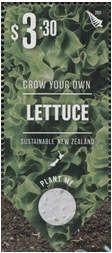Lettuce, attached seeds