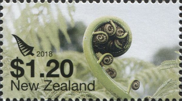 Fiddlehead Fern