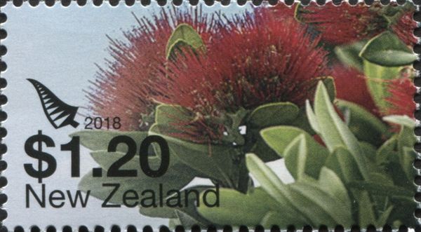 Pohutukawa Flowers