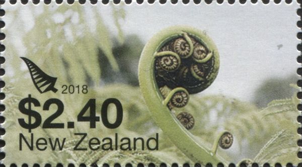 Fiddlehead Fern