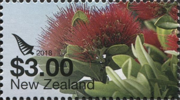 Pohutukawa Flowers