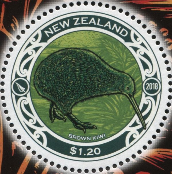 North Island Brown Kiwi (Apteryx mantelli)