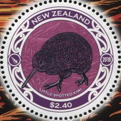 Little Spotted Kiwi (Apteryx owenii)