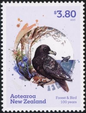 Black Petrel (Procellaria parkinsoni)