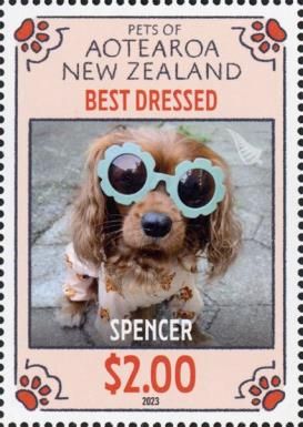 Spencer the Dog