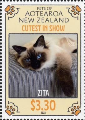 Zita the Cat