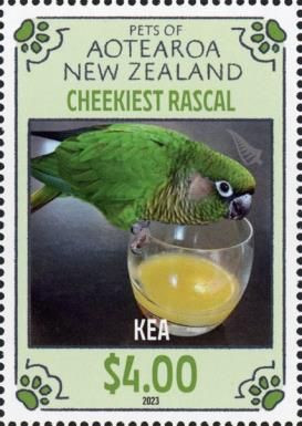Kea the Parrot