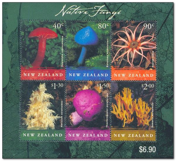 Fungi 2002