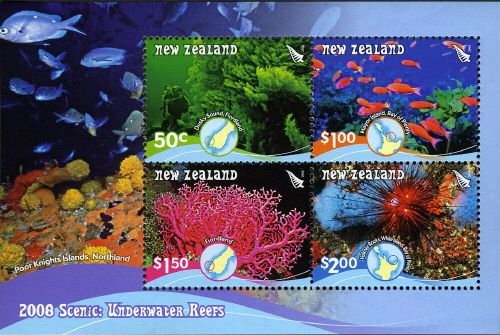 Underwater Reefs