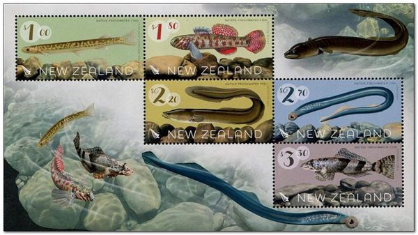 Native Freshwater Fish