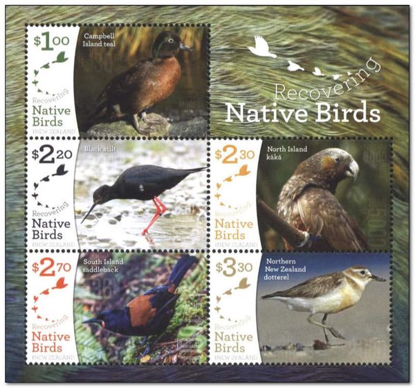 Recovering Bird Species of NZ