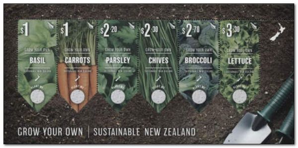 Sustainable NZ : Grow Your Own (with seeds)