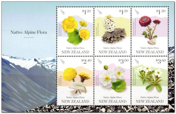 Native Alpine Flora of New Zealand
